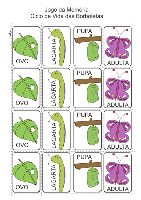 Ver E Fazer Atividades Pedag Gicas Plano De Aula Ciclo De Vida Da