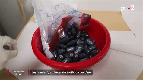 Trafic de cocaïne en Guyane des mules esclaves des trafiquants