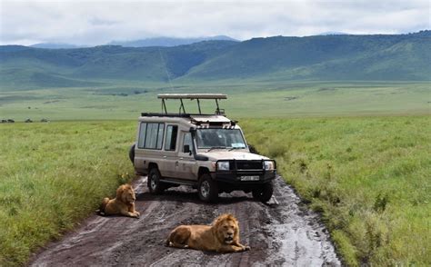 Ngorongoro Conservation Area - Kilibound Adventures