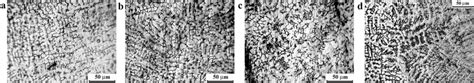 Microstructure Of The Sublayer Of Unoriented Dendrites A Without Download Scientific Diagram