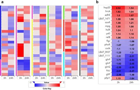 Heatmap Of Log 2 Fold Change Value Of Differently Expression Genes In