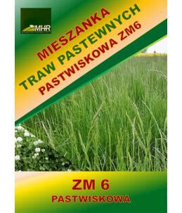 Mieszanka Traw Pastewnych Pastwiskowa Zm