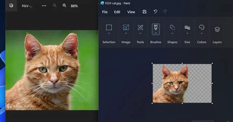 Comment Supprimer L arrière plan D une Image Dans Windows 11 Paint