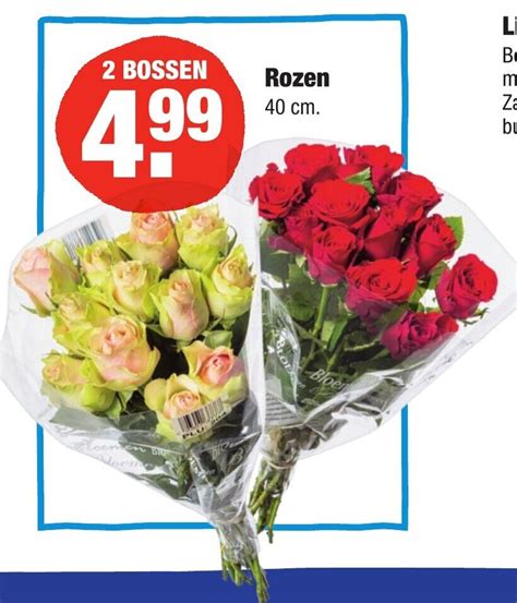 Rozen Aanbieding Bij Aldi