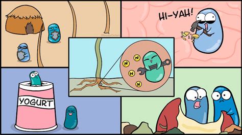 Amoeba Sisters Introduction To Cells