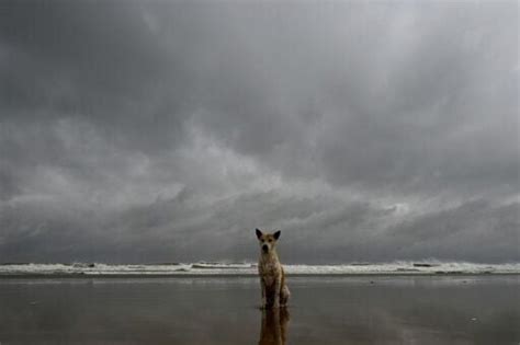 More Than A Million Indians Flee As Cyclone Approaches Nation