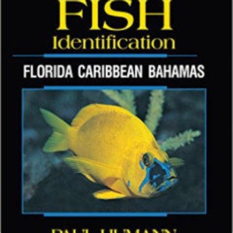 Reef Fish Identification Florida Caribbean Bahamas Th Edition Etsy