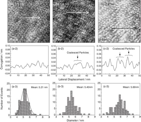 surface topographies  cross sectional views