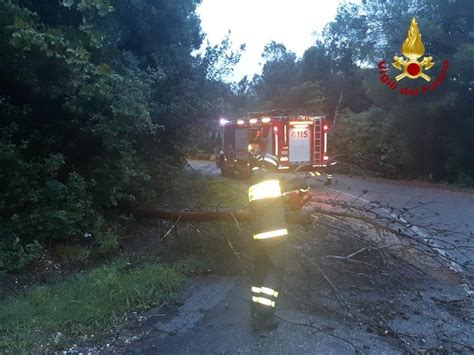 Il Maltempo Si Abbatte Sulla Toscana Alberi Crollati E Tegole Cadute