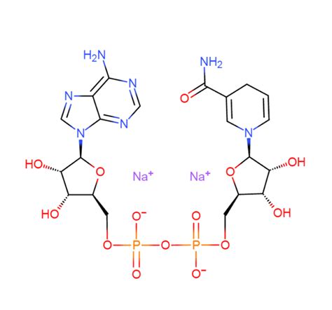 High Purity Nadh Powder Cas China High Purity Nadh Powder