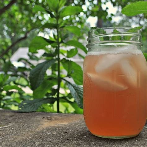 Rhubarb Iced Tea Recipe Newbritawaterchiller