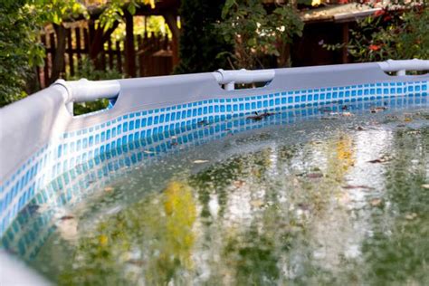 C Mo Limpiar Una Piscina Hinchable Descubre Estos Consejos Para Poder