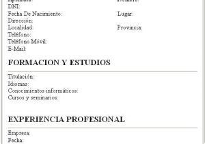 Como Hacer Un Resume De Trabajo Profesional Mi Resume Para Trabajo