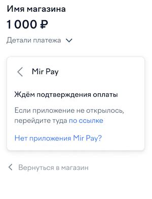 Как платить через Mir Pay