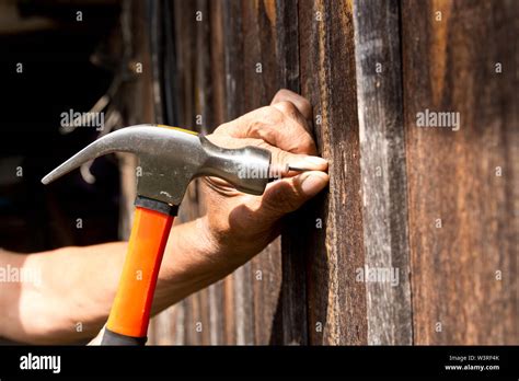 To Hammer A Nail With A Hammer Older Worker Carpenter Stock Photo Alamy