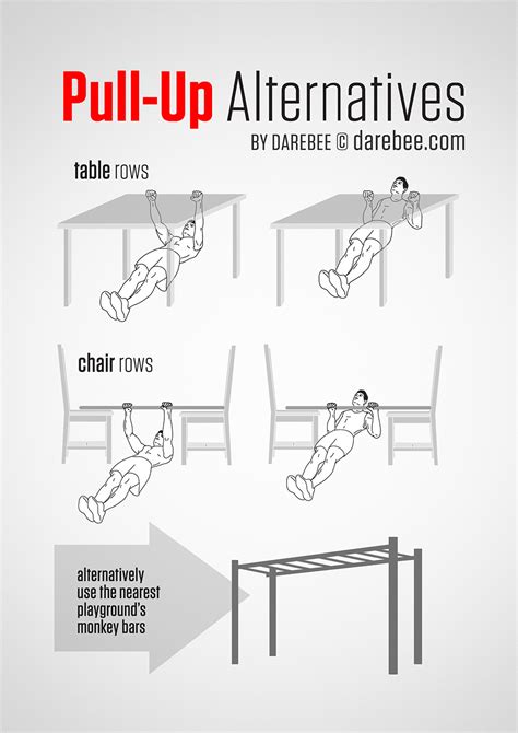 Pull Up Muscles Diagram - Blogger Lagi