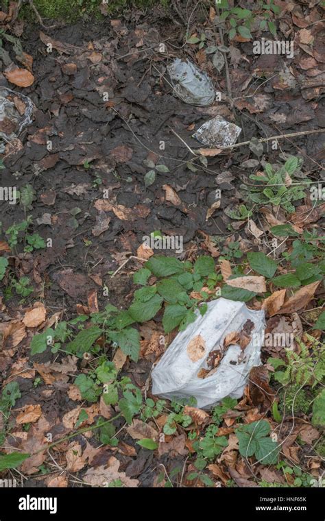 La Pollution De L Environnement De Forme Ou De Haies Et Bordure De