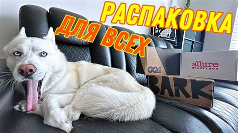 Повеселились от Души )) Каждому По Коробке !!! Смотреть До Конца ...