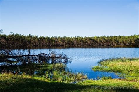 Святое озеро (Верхнедвинский район) | FishingBY.com