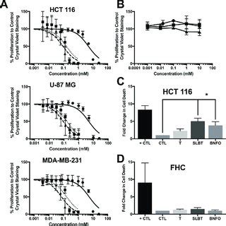 Thiamine Biosynthesis In Algae And Higher Plants These Organisms Use