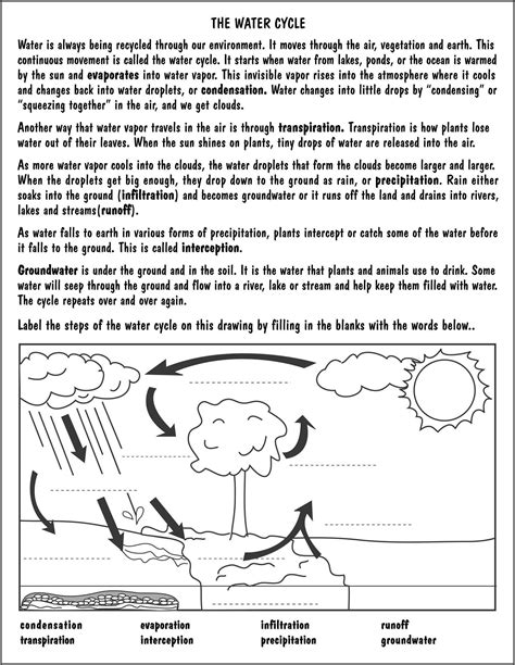 Bill Nye Water Cycle Worksheet Answers Worksheet Resume Examples