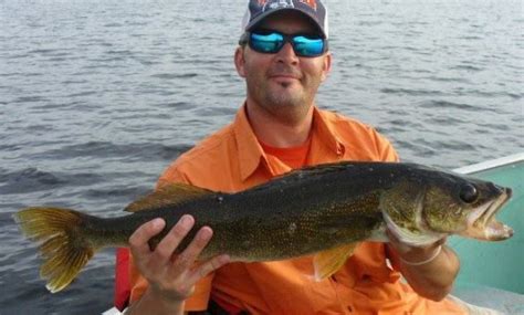 All Dedicated Walleye Anglers Seek To Catch A 10 Lb Walleye