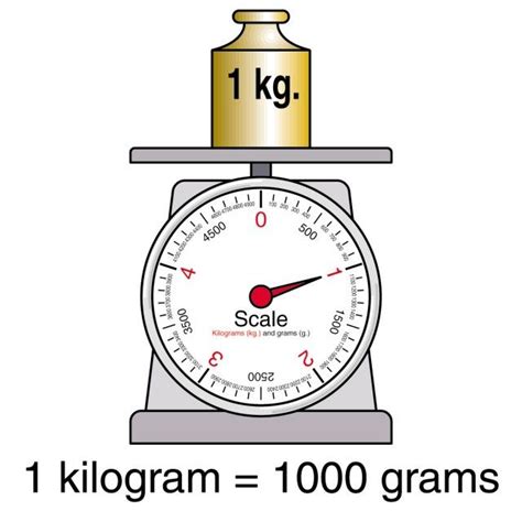 Converting Kilograms To Grams Worksheet Grams Kilograms Mass