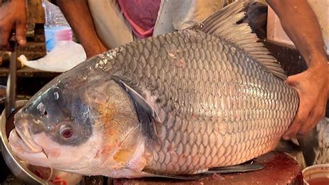 Amazing Giant Katla Fish Cutting Skills Live In Fish Market Fish