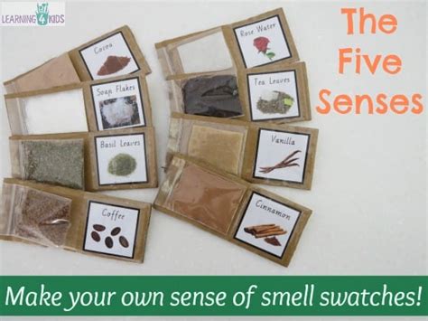 Five Senses Sense Of Smell And Touch Activity Learning 4 Kids