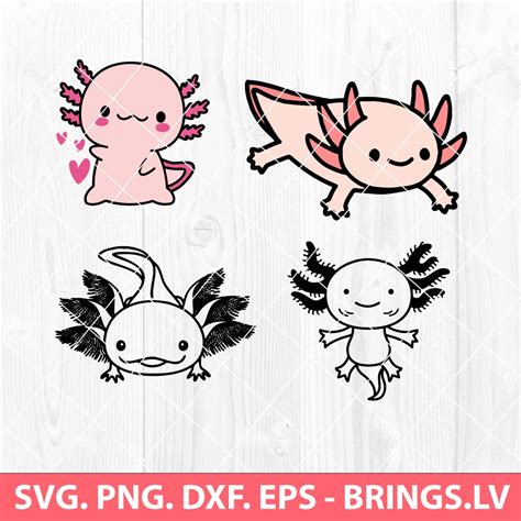 Axolotl SVG, Axolotl SVG Bundle, Cute Axolotl SVG, Axolotl PNG