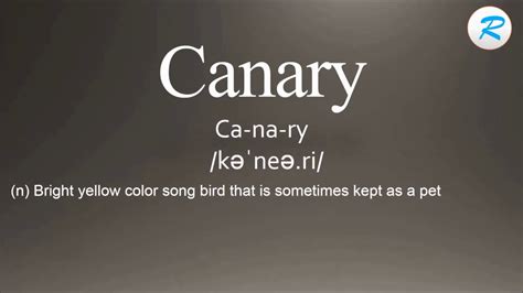 How To Pronounce Canary Youtube