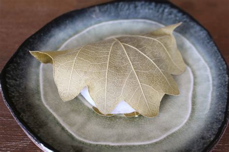 kashiwa mochi - Ai made it for you