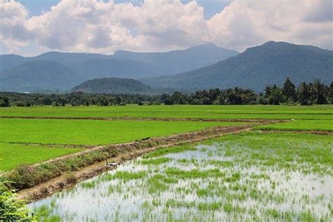 Gambar Pemandangan Kampung 25 Contoh Gambar Pemandangan Alam Pedesaan Yang Mudah Ditiru