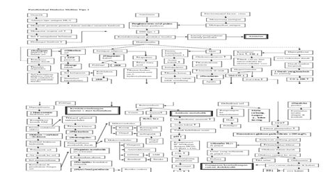 (PDF) Patofisiologi Diabetes Melitus Tipe 1 New - DOKUMEN.TIPS
