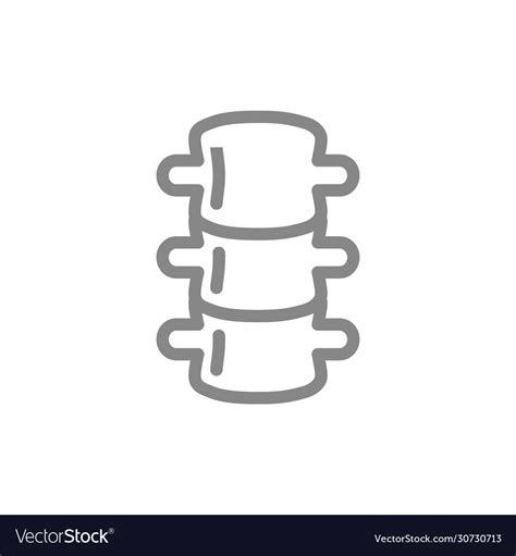 Human Spine Line Icon Healthy Spinal Symbol Vector Image