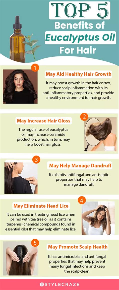 Eucalyptus Oil For Hair How To Use It And Side Effects