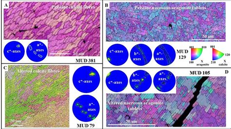 Colour Coded Ebsd Orientation Maps With Corresponding Pole Figures