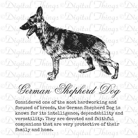 German Shepherd Dog Definition Description Printable Digital - Etsy