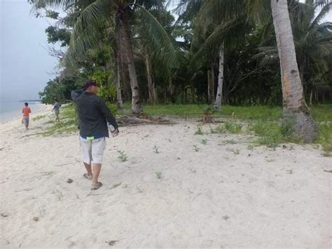 Crn B Hectares Beachfront Property For Sale In Cheey Busuanga