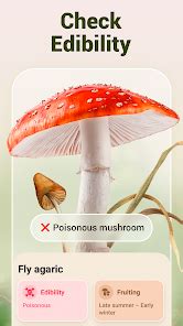 Mushroom Id Fungi Identifier Apps On Google Play