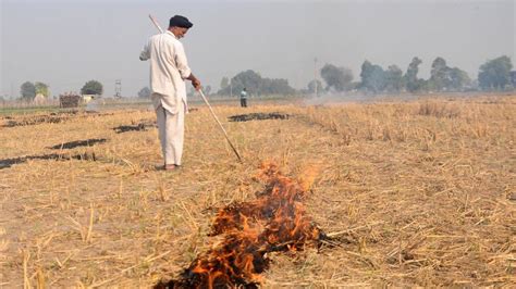 Sc Appoints Ex Judge To Monitor Stubble Burning In Punjab Haryana Up India News Hindustan