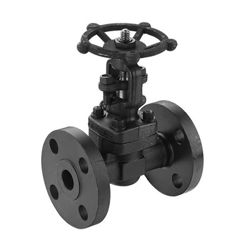 Forged Steel Gate Valve Sio