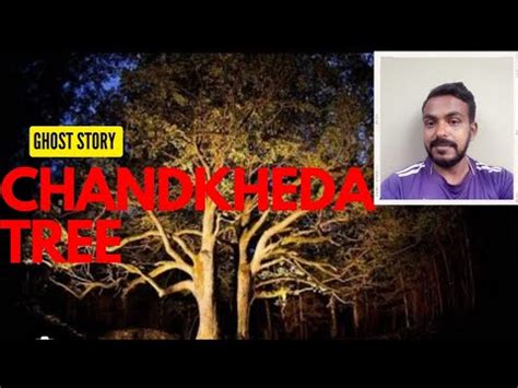 Ghost Story Chandkheda Tree Ahmedabad Gujarat Haunted Place In Gujarat