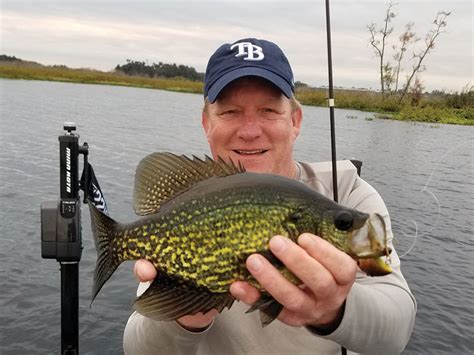 Florida Fish Guide Orlando Panfish Fishing