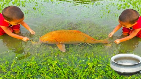 Amazing Hand Fishing Video Smart Girl Catching Fish By Hand From Mud