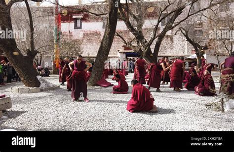 Tibet monk courtyard Stock Videos & Footage - HD and 4K Video Clips - Alamy