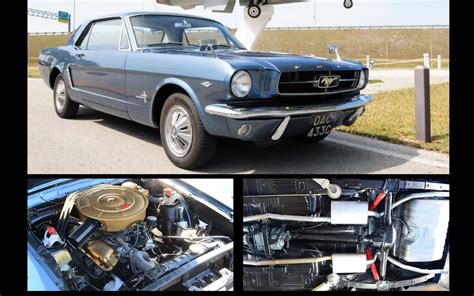 Mustang All The Wild And Wonderful Offshoots Autocar