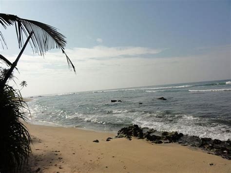 Quelles Plages Du Sud Au Sri Lanka Forum Sri Lanka Forums Routard