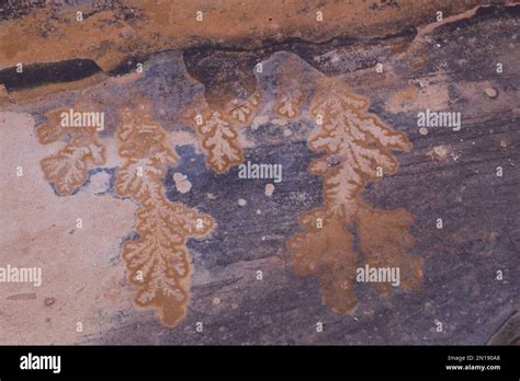 Colorful Sandstone Petra Jordan Stock Photo Alamy