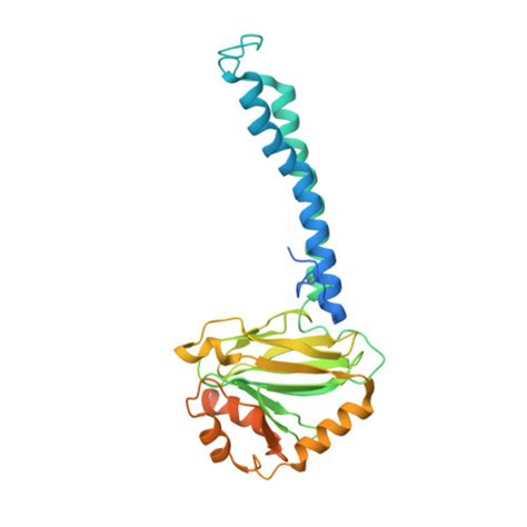 Rcsb Pdb 7xmd Cryo Em Structure Of Cytochrome Bo3 From Escherichia